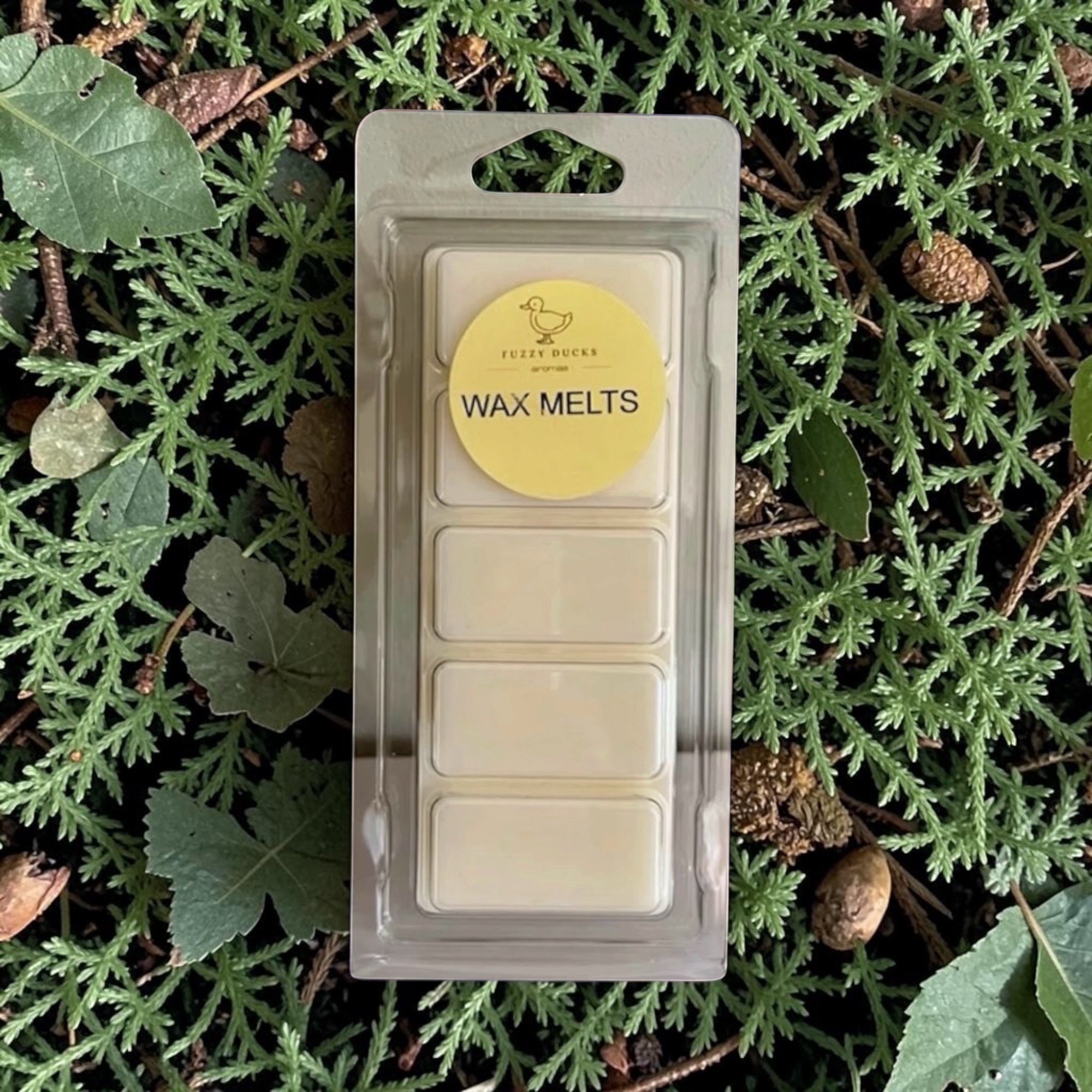 Healing Therapy Wax Melts